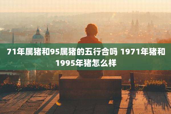 71年属猪和95属猪的五行合吗 1971年猪和1995年猪怎么样