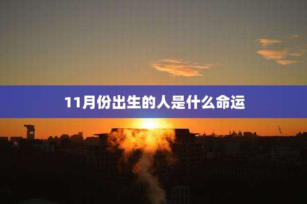 11月份出生的人是什么命运