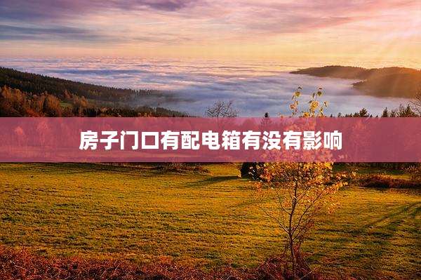 房子门口有配电箱有没有影响