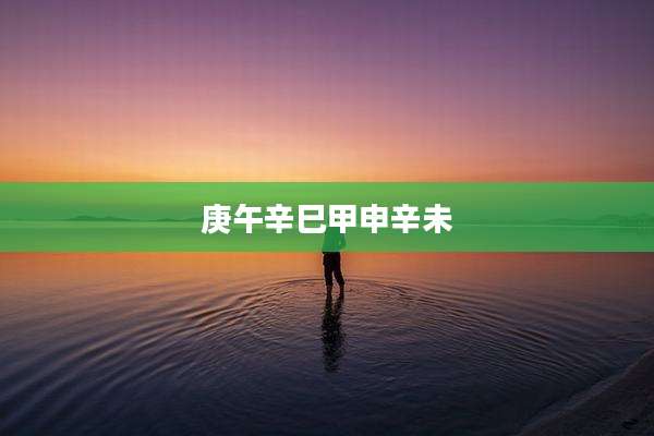 庚午辛巳甲申辛未