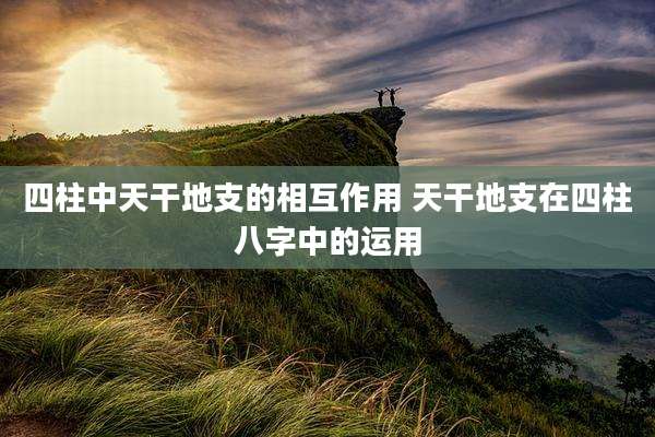 四柱中天干地支的相互作用 天干地支在四柱八字中的运用