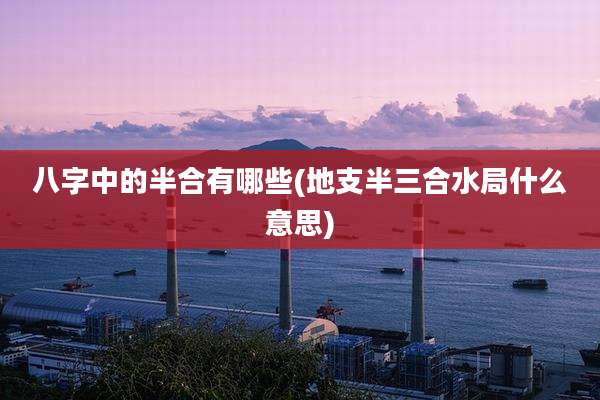 八字中的半合有哪些(地支半三合水局什么意思)