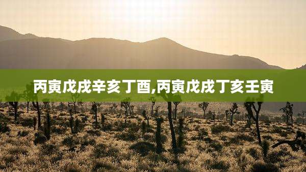 丙寅戊戌辛亥丁酉,丙寅戊戌丁亥壬寅