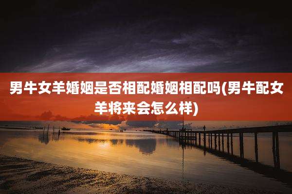 男牛女羊婚姻是否相配婚姻相配吗(男牛配女羊将来会怎么样)
