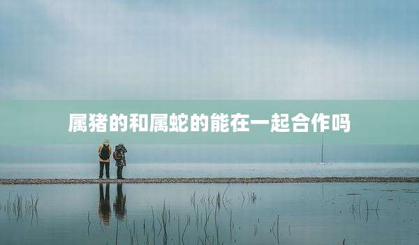 属猪的和属蛇的能在一起合作吗