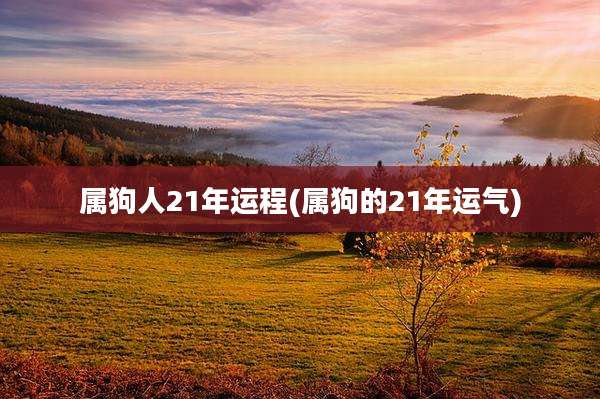 属狗人21年运程(属狗的21年运气)