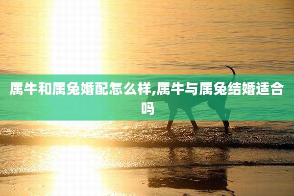 属牛和属兔婚配怎么样,属牛与属兔结婚适合吗