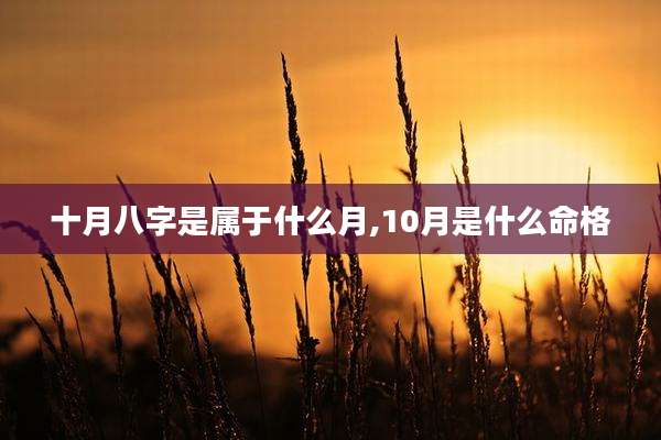 十月八字是属于什么月,10月是什么命格