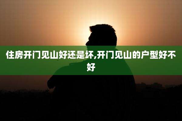 住房开门见山好还是坏,开门见山的户型好不好