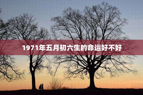 1971年五月初六生的命运好不好