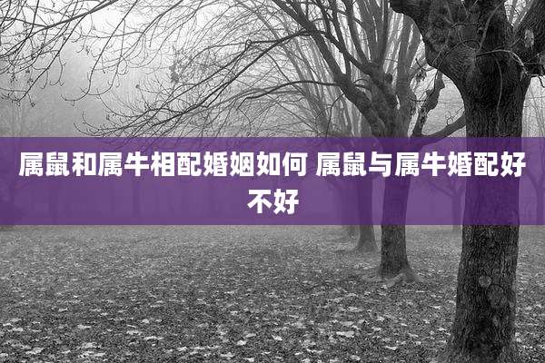 属鼠和属牛相配婚姻如何 属鼠与属牛婚配好不好