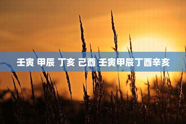 壬寅 甲辰 丁亥 己酉 壬寅甲辰丁酉辛亥