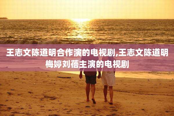 王志文陈道明合作演的电视剧,王志文陈道明梅婷刘蓓主演的电视剧