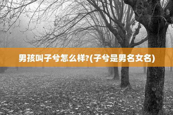 男孩叫子兮怎么样?(子兮是男名女名)