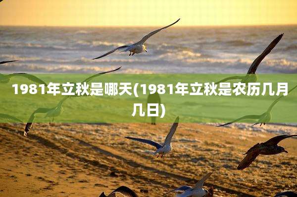 1981年立秋是哪天(1981年立秋是农历几月几日)