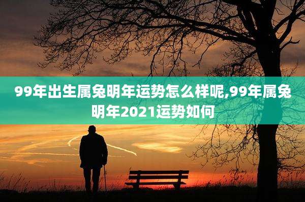 99年出生属兔明年运势怎么样呢,99年属兔明年2021运势如何
