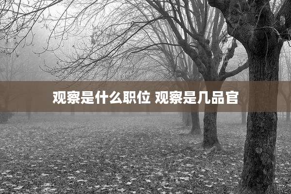 观察是什么职位 观察是几品官