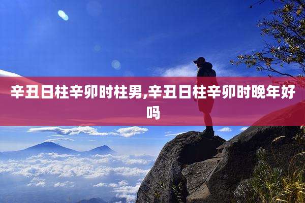 辛丑日柱辛卯时柱男,辛丑日柱辛卯时晚年好吗