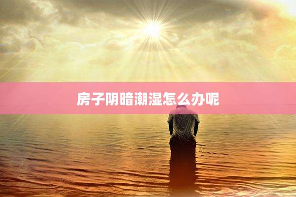 房子阴暗潮湿怎么办呢
