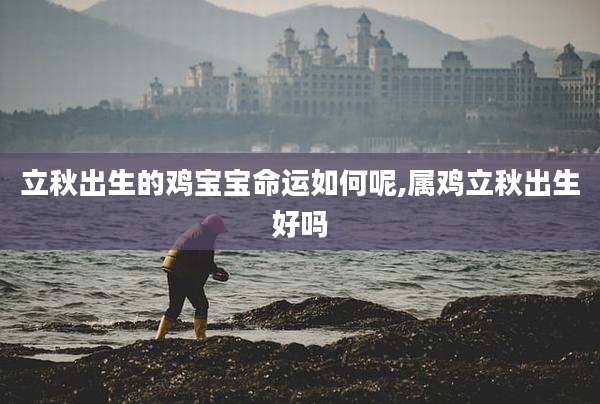 立秋出生的鸡宝宝命运如何呢,属鸡立秋出生好吗