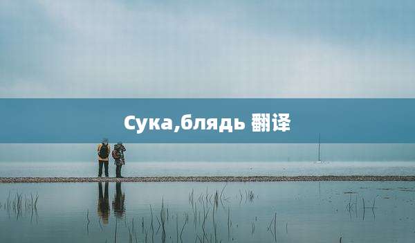 Сука,блядь 翻译