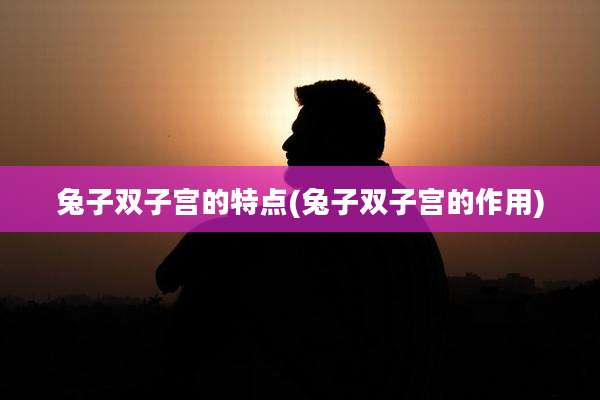 兔子双子宫的特点(兔子双子宫的作用)