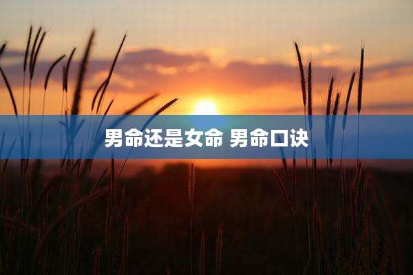 男命还是女命 男命口诀