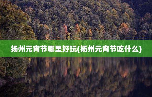 扬州元宵节哪里好玩(扬州元宵节吃什么)