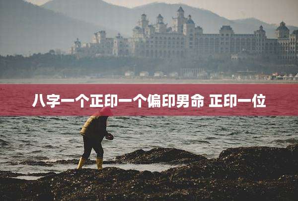 八字一个正印一个偏印男命 正印一位