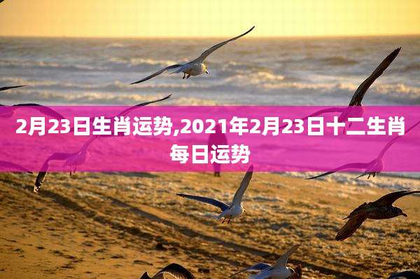 2月23日生肖运势,2021年2月23日十二生肖每日运势