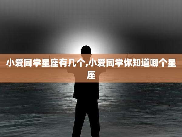 小爱同学星座有几个,小爱同学你知道哪个星座