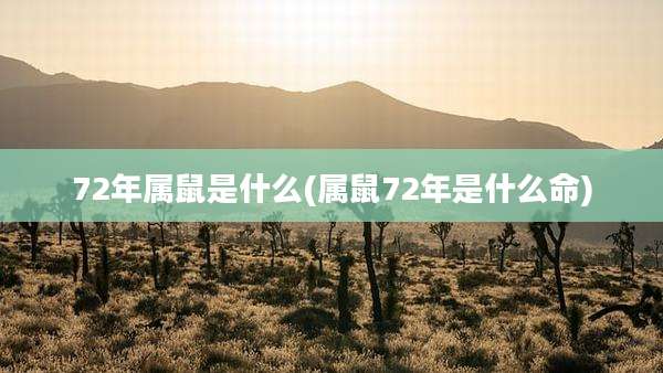 72年属鼠是什么(属鼠72年是什么命)