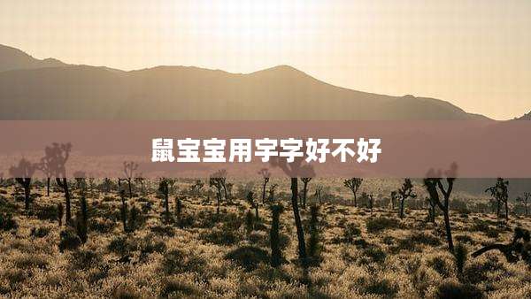 鼠宝宝用宇字好不好