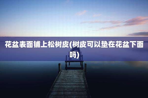 花盆表面铺上松树皮(树皮可以垫在花盆下面吗)
