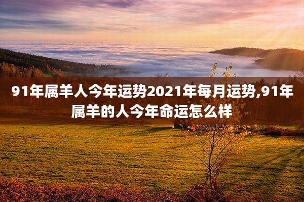 91年属羊人今年运势2021年每月运势,91年属羊的人今年命运怎么样
