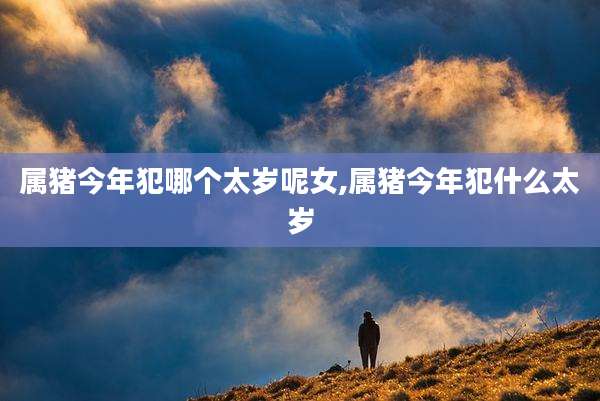 属猪今年犯哪个太岁呢女,属猪今年犯什么太岁