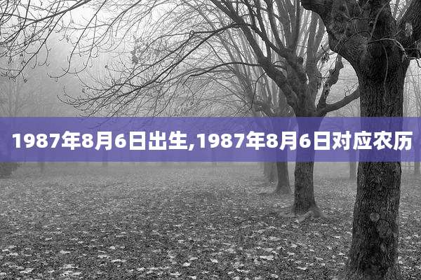 1987年8月6日出生,1987年8月6日对应农历