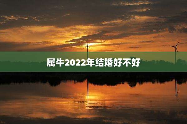属牛2022年结婚好不好