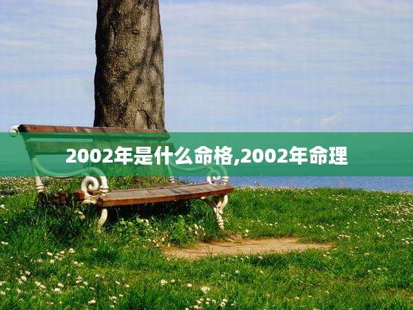 2002年是什么命格,2002年命理