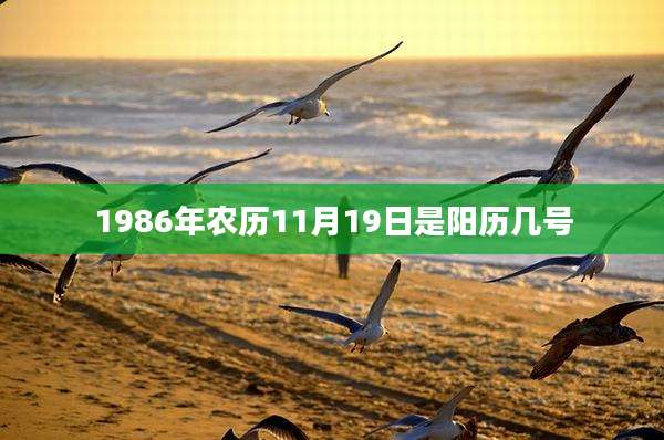 1986年农历11月19日是阳历几号