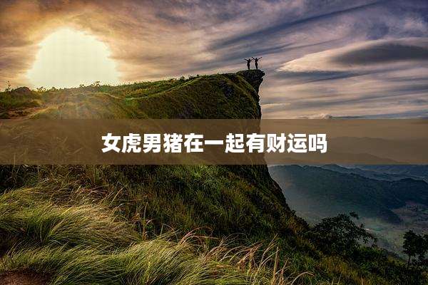 女虎男猪在一起有财运吗