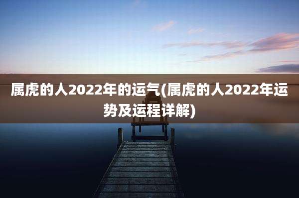 属虎的人2022年的运气(属虎的人2022年运势及运程详解)