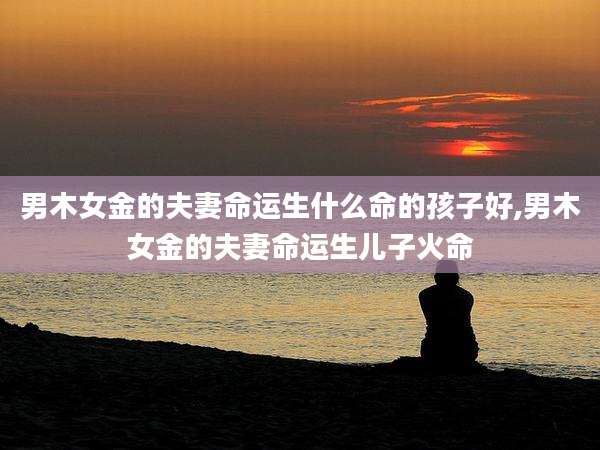 男木女金的夫妻命运生什么命的孩子好,男木女金的夫妻命运生儿子火命