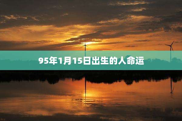 95年1月15日出生的人命运