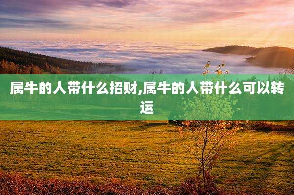属牛的人带什么招财,属牛的人带什么可以转运