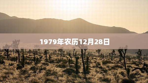 1979年农历12月28日