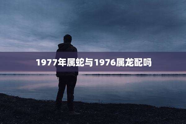 1977年属蛇与1976属龙配吗