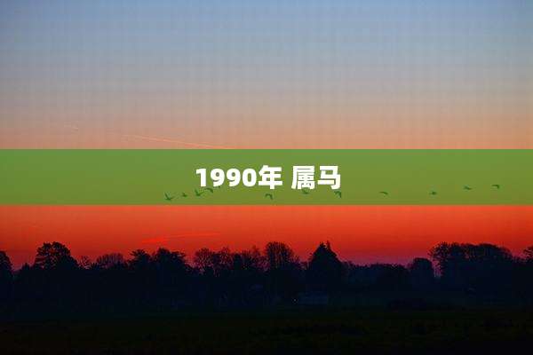 1990年 属马
