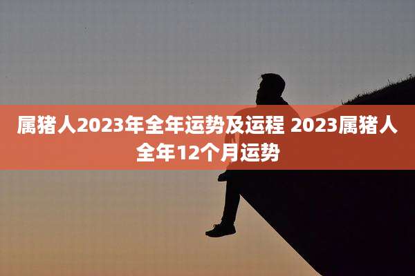 属猪人2023年全年运势及运程 2023属猪人全年12个月运势