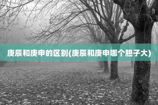庚辰和庚申的区别(庚辰和庚申哪个胆子大)